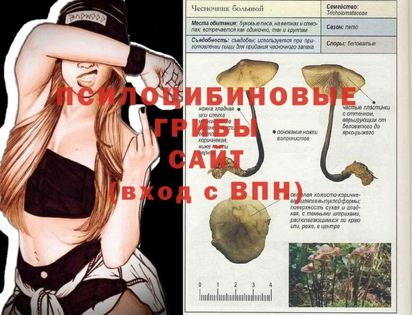 PSILOCYBIN Беломорск