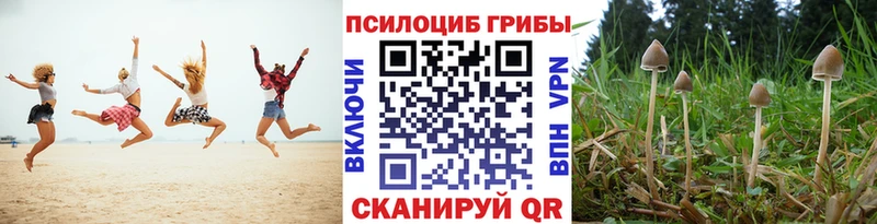 Галлюциногенные грибы мицелий  blacksprut ССЫЛКА  Невельск 